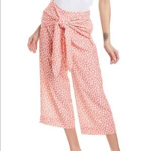 CROSBY BY MOLLIE BURCH Dorothy Pants Small Cropped Wilcat Clay Retail $188 NWT